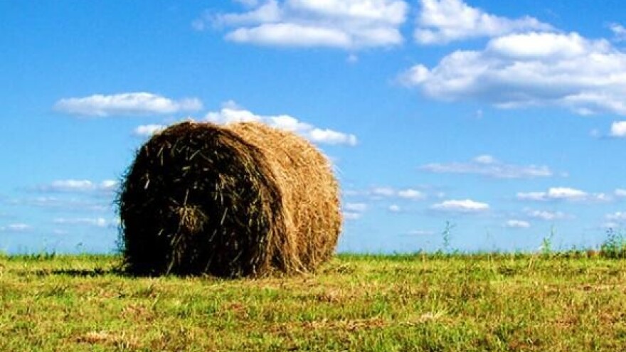 Kriteriji za pretpristupni IPARD fond