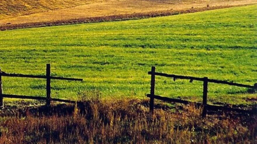 EU kontrolira poticaje