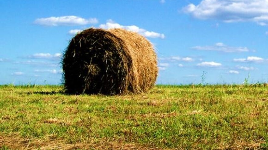 Razgovor s Čobankovićem