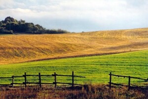 IPARD program kao poticaj razvoju ruralne infrastrukture