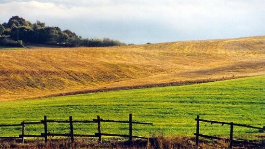 IPARD program kao poticaj razvoju ruralne infrastrukture
