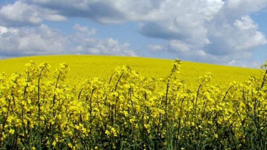 Apel o hitnoj sjednici Vlade o poljoprivredi