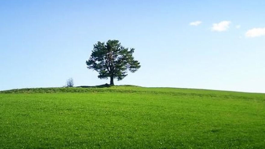Stručna radionica "razvoja ekološke poljoprivrede"