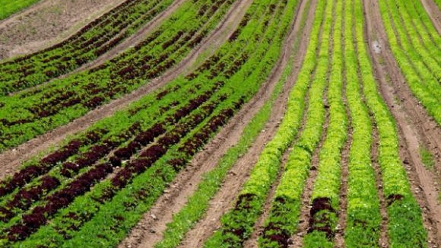 Potencijal za razvoj ekološke poljoprivrede