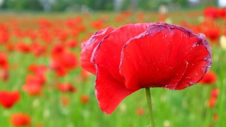 Kako iskoristiti novac iz EU fondova