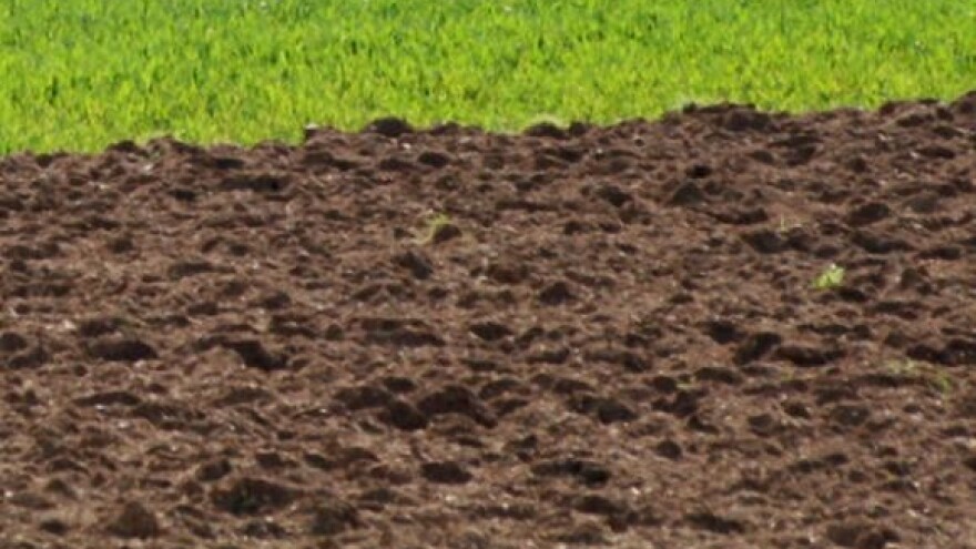 Nedostatna gnojidba smanjiti će  prinose