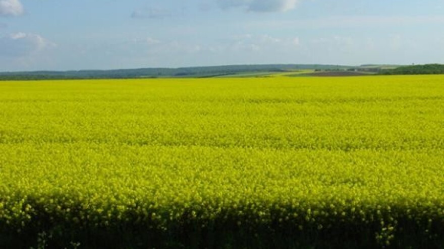 Upisano 20.000 poljoprivrednika u ARKOD