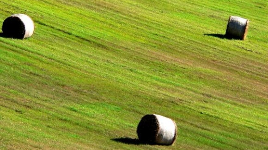 Poljoprivreda nespremna za EU