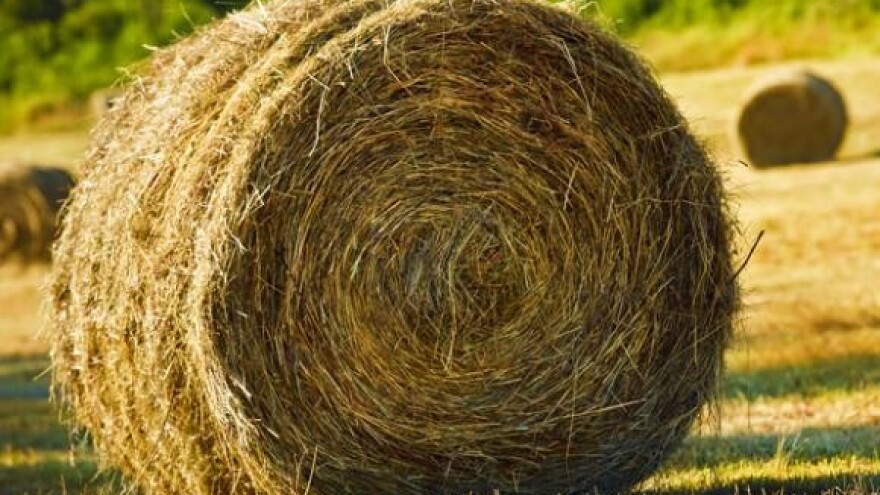 Nova pravila za dobivanje poticaja