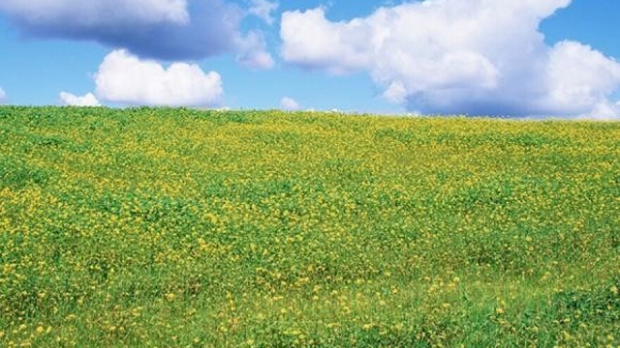 Ratari i stočari bez dogovora oko zemlje