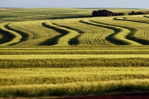 U ARKOD upisano više od 40 tisuća poljoprivrednika