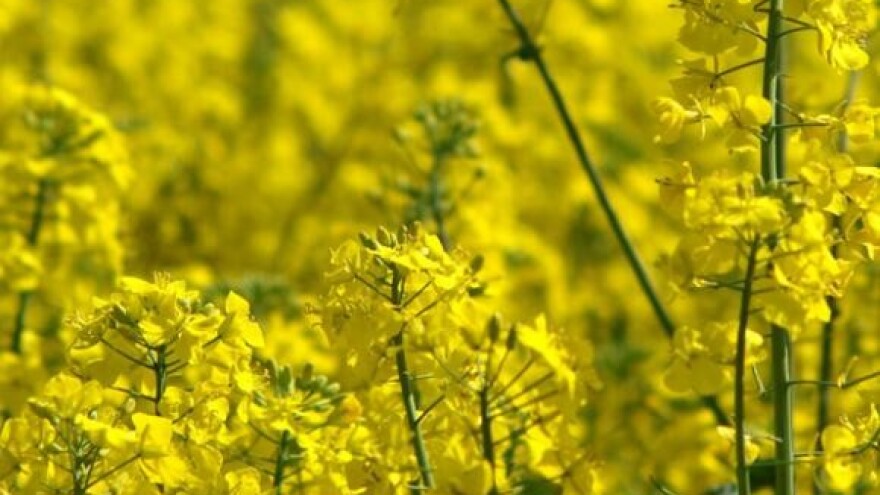 Predstavljanje projekta uspostave IAKS-a