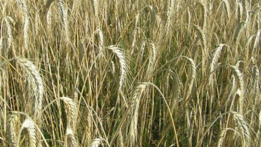 Đakovština u ponedjeljak drugi put na bubnju