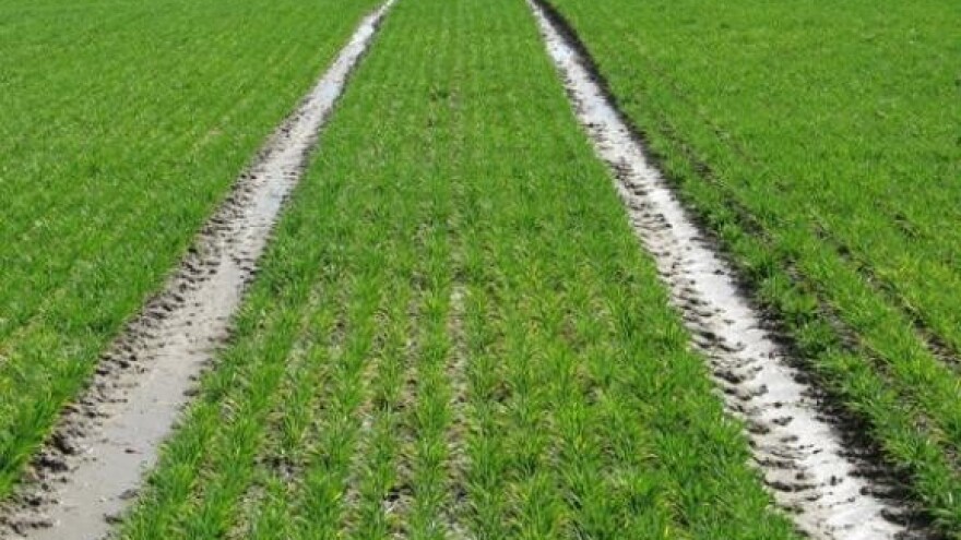 Provedba projekta navodnjavanja