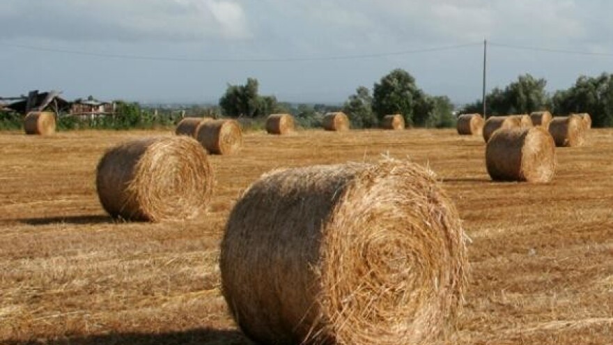 Novi pristup Ipard sredstvima