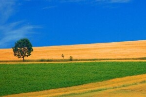 Zemlja bez vlasnika, poljoprivrednici bez poticaja