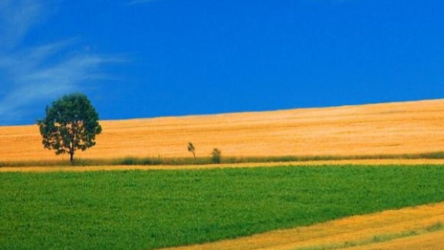 Zemlja bez vlasnika, poljoprivrednici bez poticaja