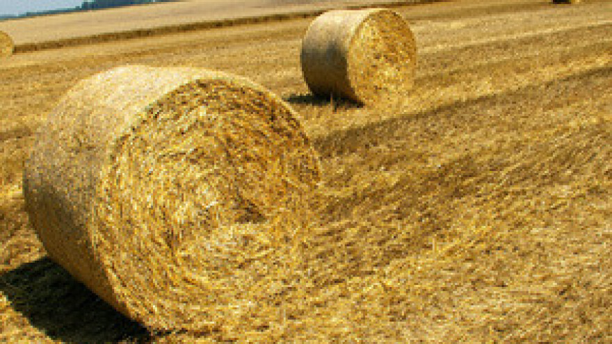 Bez ugovora o zakupu obrađuju 11.000 ha