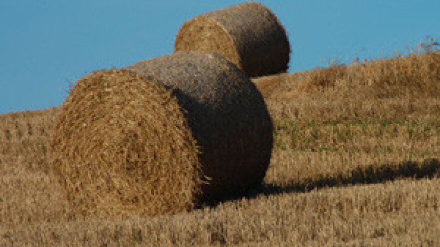 Za jednogodišnji zakup oranica nema poticaja