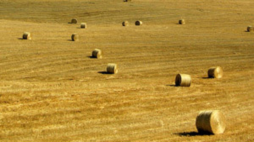Imamo veće potpore od nekih zemalja EU-a