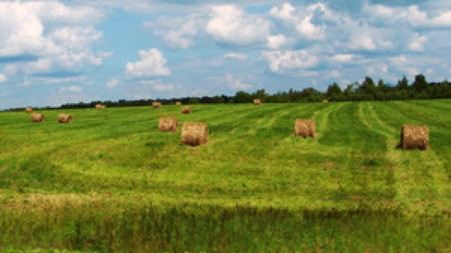 Sufinanciranje projekta navodnjavanja