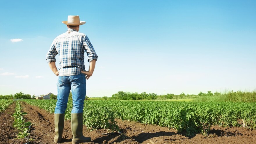 Inđija pomaže mladim poljoprivrednicima