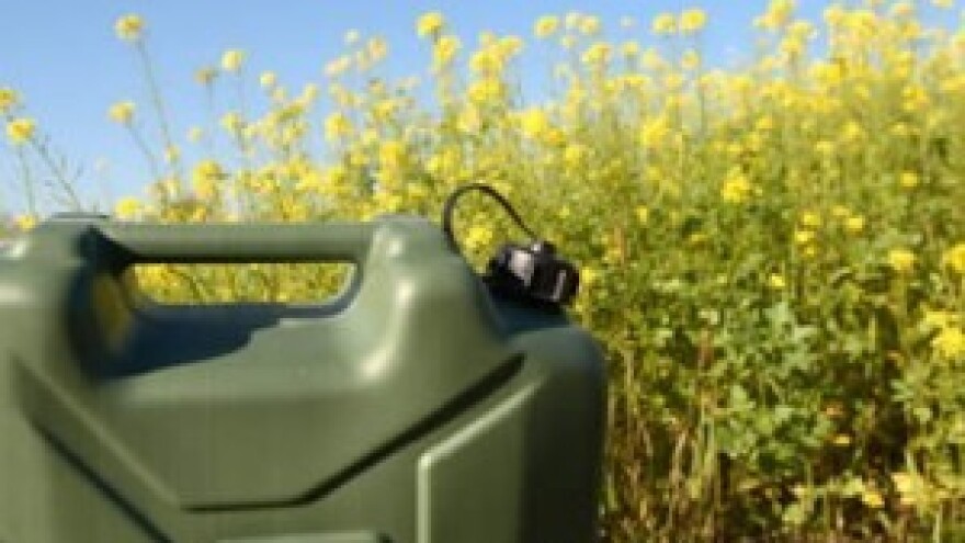 Poljoprivreda kao izvor energije