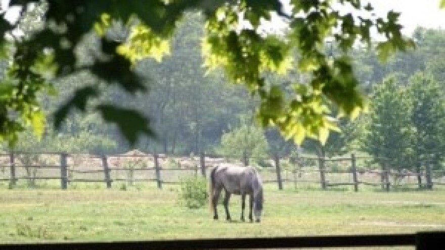 Poljoprivrednu aktivnost u Hrvatskoj obavlja 232.990 gospodarstava