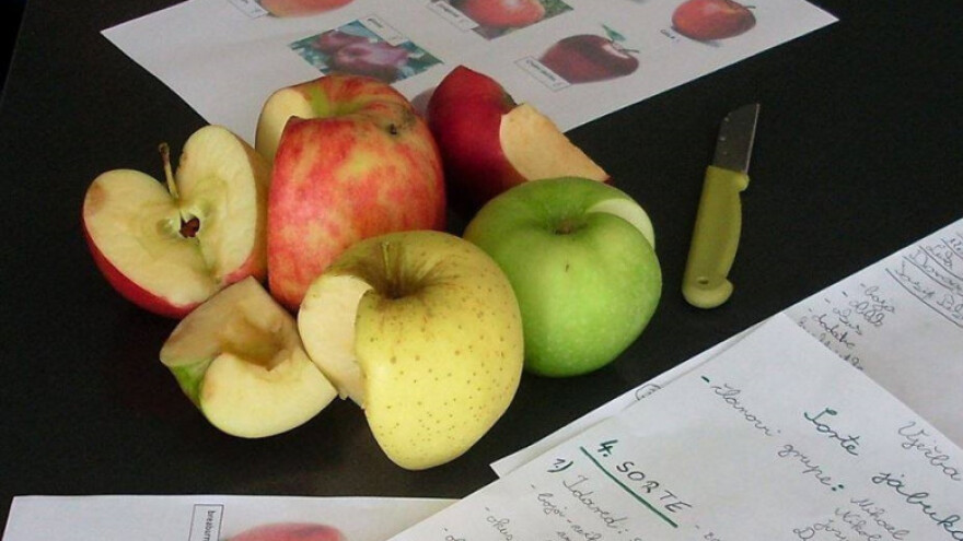 Poljoprivrednim školama 5 milijuna kuna za modernizaciju programa