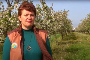 Na što obratiti pažnju i kako zaštititi pojedine voćne vrste?