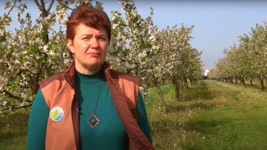 Na što obratiti pažnju i kako zaštititi pojedine voćne vrste?