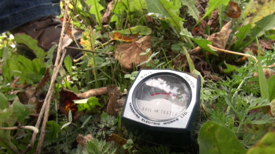 Kako se mjeri pH vrijednost i što ako je tlo previše kiselo?
