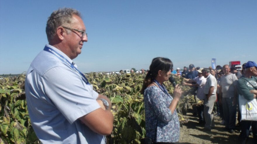 Ne sijte na njive hranu za golubove!