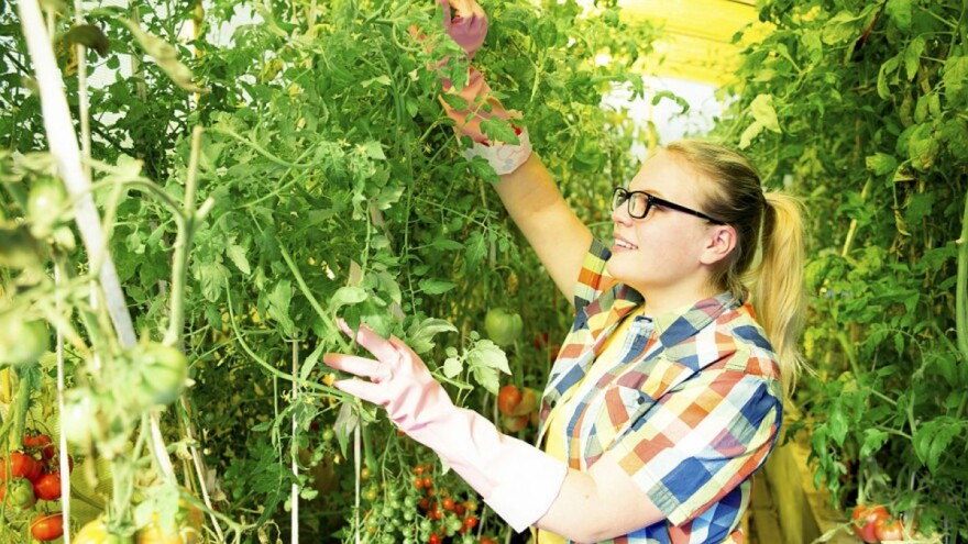 Mogu li poljoprivrednici biti i influenceri?