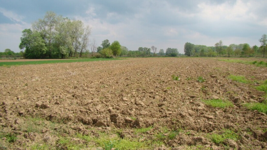 Mraz (ipak) nije ugrozio ratarske kulture