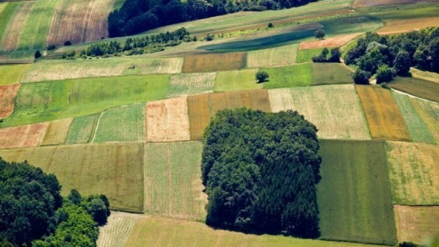 ZPP će promijeniti lice hrvatske poljoprivrede?