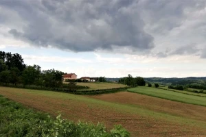 Svi problemi u agraru Srbije i kako ih rešiti?