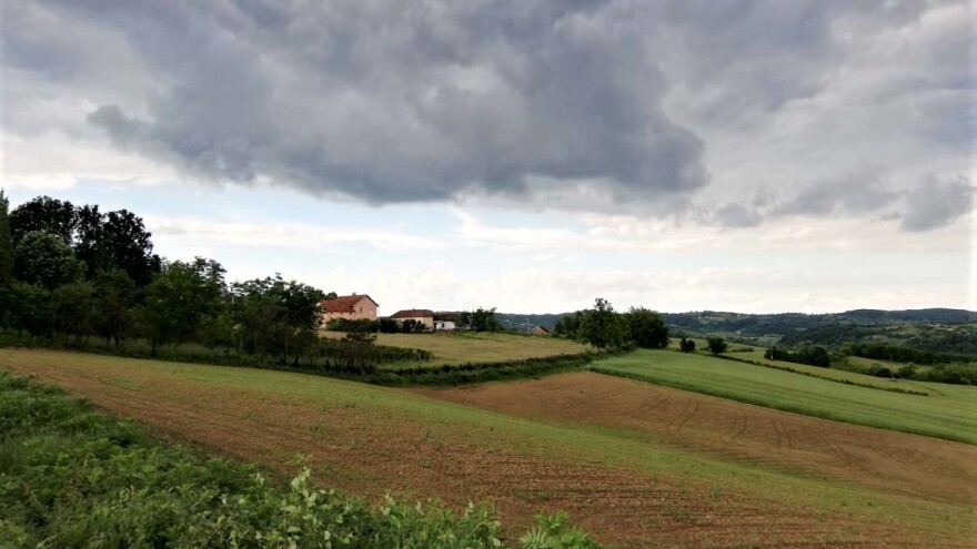 Svi problemi u agraru Srbije i kako ih rešiti?