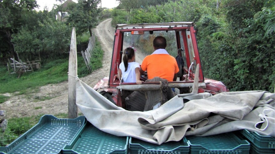Da li srpska poljoprivreda, posle svega, zaslužuje spomenik?
