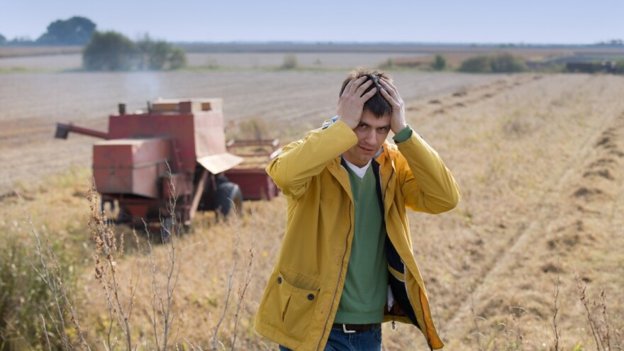 Prosečan rast u poljoprivredi tokom 30 godina - 0,45%