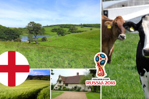 Engleska - zemlja koja je izumila nogomet i preživjela kravlje ludilo