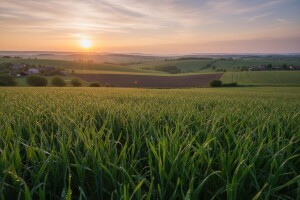 Poljoprivreda ima najveći potencijal u jugo-istočnoj Europi