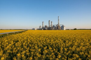 Poljoprivreda kao izvor energije