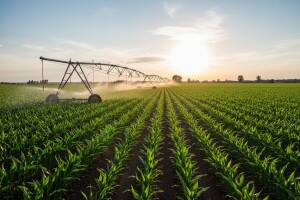 Poljoprivreda - ključ razvoja Slavonije