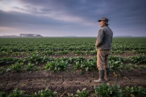 Poljoprivreda koči ulazak u EU