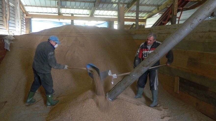 Radiša Radisavljević rekorder u ratarstvu: Od poljoprivrede može dobro da se živi