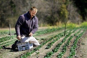 Godinu dana od ulaska u EU poljoprivreda propada