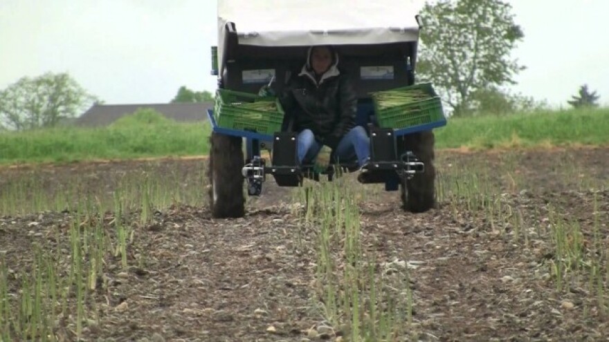 Raste interes za poljoprivredna zanimanja