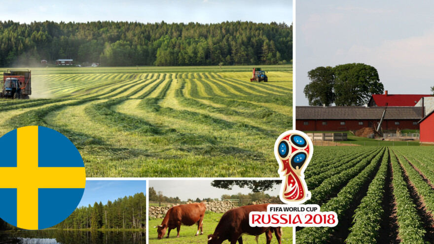 Švedska - zemlja blagostanja u kojoj najbogatiji jedu usoljenu haringu, jelo nekad siromašnih ribara