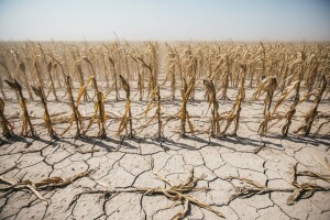 Poljoprivreda u RS gubi 100 miliona evra